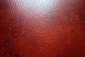 Full frame high quality leather