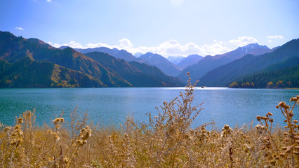 Naklejka premium Nature landscape view Heaven Lake of Celestial Mountains in Xinjiang China.