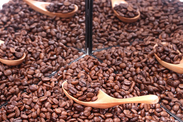 鏡に映るたくさんのコーヒー豆