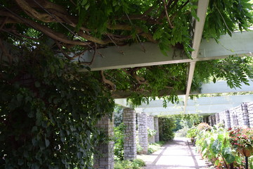 Garden Overhang