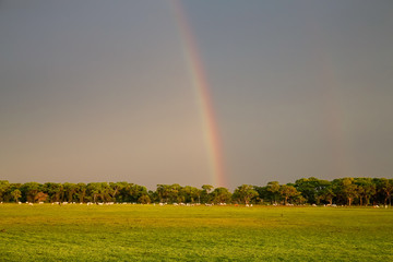 Idyllic view of pasture land with dark sky, sunlight and a glowing rainbow at the horizon, Pantanal Wetlands, Mato Grosso, Brazil