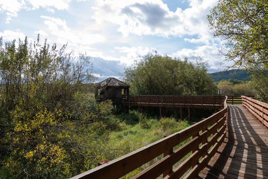 Bird watching from a blind in the woods