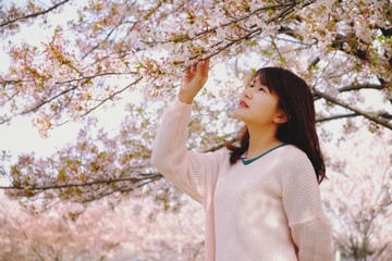 Asian woman wearing pink shirt with cherry blossoms, sakura in Korea.