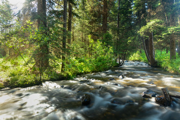 Obraz premium Mountain stream