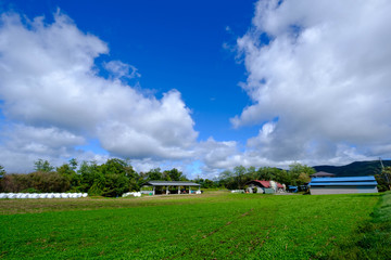 Cloudy Sky in my country