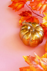 Golden Pumpkin With A Leafs Maple On Pink Background , Ornament For Thanksgiving.