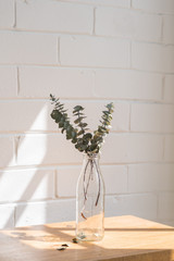Close up vertical view of dried eucalyptus leaves in glass bottle on wooden shelf against painted white brick wall with shadow (selective focus)