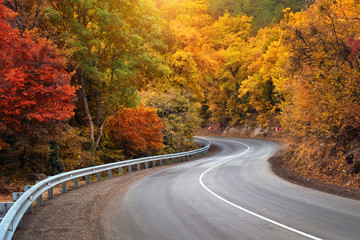 Fototapeta premium Autumn road and sunny rays.