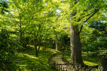 金沢旅行　初夏の兼六園