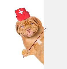 Smiling puppy dressed like a doctor pointing on empty white banner. isolated on white background