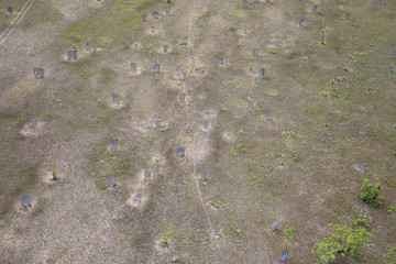 Aerial view of Magnetic Termite Mounds in Litchfield National Park