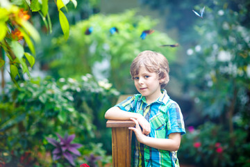 Little blond preschool kid boy discovering plants, flowers and butterflies at botanic garden