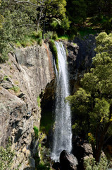 A view of Preston Falls near Ulverstone in Tasmania. 