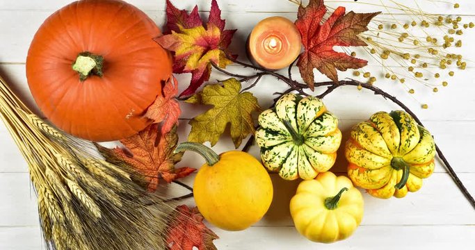 Stop motion animation of harvest or thanksgiving still life with pumpkins