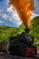 Fototapeta na wymiar Running wood-burning locomotive of Mocanita (Maramures, Romania). Green forest in background
