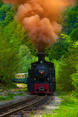 Running wood-burning locomotive of Mocanita (Maramures, Romania). Green forest in background