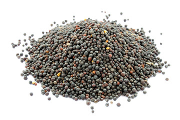 Dried canola brassica seeds isolated on white. Bunch of rape seeds on a white background. Close-up....