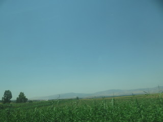 Fototapeta na wymiar green field and blue sky