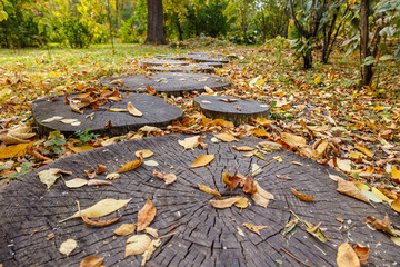 A path in the park made of sawn tree trunks, strewn with autumn foliage