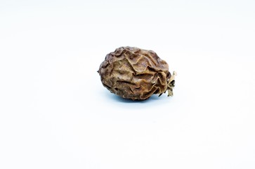 Close up of a walnut with its dried husk isolated on white background.