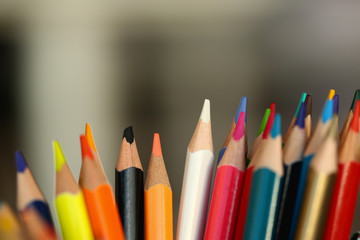 colored pencils many different opinions educational concept of studying fine art
