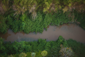 Top view a Canals and trees