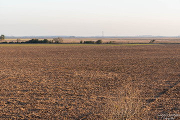 crop being prepared for rice planting