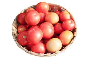 fresh tomatoes in a bamboo basket isolated on a white background