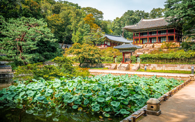 Huwon secret garden view at Changdeokgung Palace with view of Buyongji pond and Juhamnu Pavilion in...