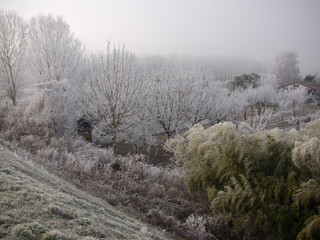 winter landscape with fog