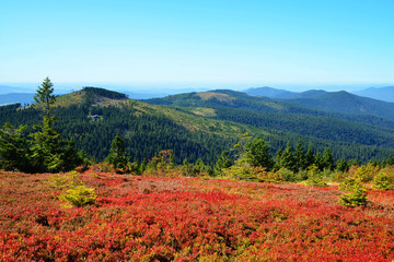 Autumn landscape in National park Bayerischer Wald, view from the mountain Grosser Arber, Germany.
