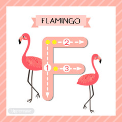 Letter F uppercase tracing. Standing Flamingo