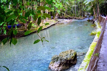 Amazing waterside adventure in the jungle in Philippines