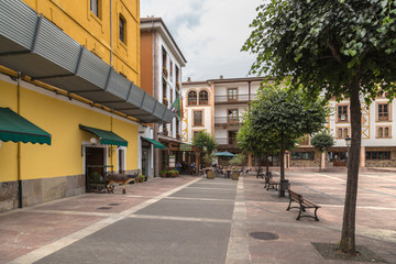 Fototapeta na wymiar Cangas de Onis, Spain. Camila Beceña square