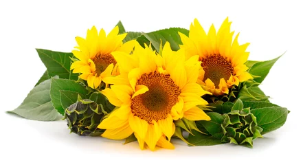 Rolgordijnen Groep gele heldere mooie zonnebloembloemen. © Galyna
