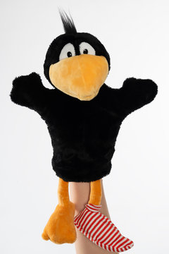 Fr&ouml;hlicher Rabe mit Socke