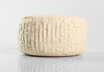 Capreggio Goat Cheese. Isolated on gray background.