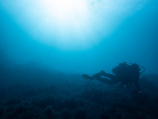 Fototapeta premium Diver and underwater scenery