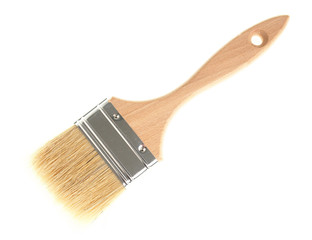 Professional Paint Brush