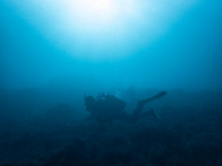 Fototapeta na wymiar Diver and underwater scenery