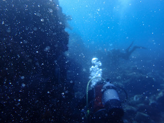 Obraz na płótnie Canvas Diver and underwater scenery