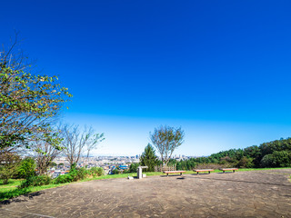 Fototapeta na wymiar 青空と丘の上のベンチ