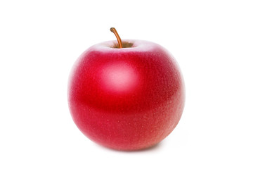 Side view of a red ripe juicy shiny tasty beautiful apple with a twig isolated on a white background. Clipping path