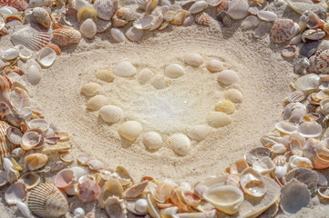 Fototapeta na wymiar White seashells on white sand - heart concept