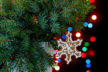 Twigs of blue on a background of Christmas bokeh