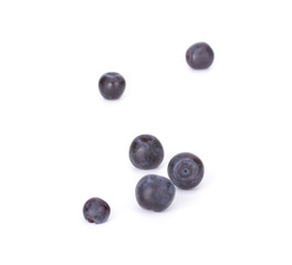 Fresh blueberry from forest isolated on white background