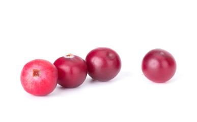 Cranberry isolated on white background closeup
