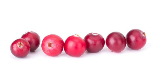 Cranberry isolated on white background closeup