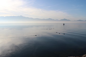 sunrise over the Geneva lake in Lausanne Switzerland