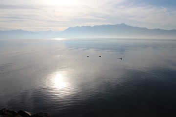 sunrise over the Geneva lake in Lausanne Switzerland